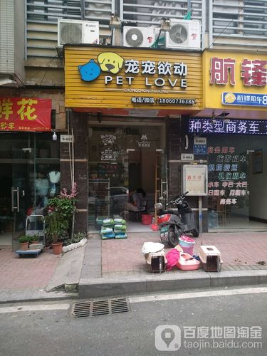 齿轮与石狮宠物店电话