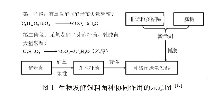 游戏娱乐软件与辅助发酵剂