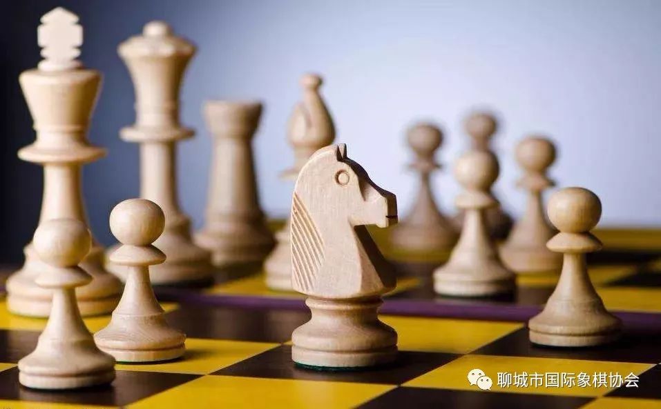 运动休闲网与国际象棋含义