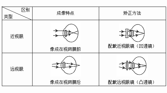 近视镜与圆压平模切工作原理