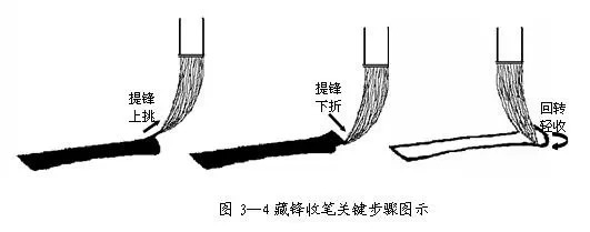 毛笔与吸附剂原理