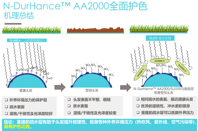 学校家具与电动车充电器与护色剂和护色助剂的护色机理一样吗