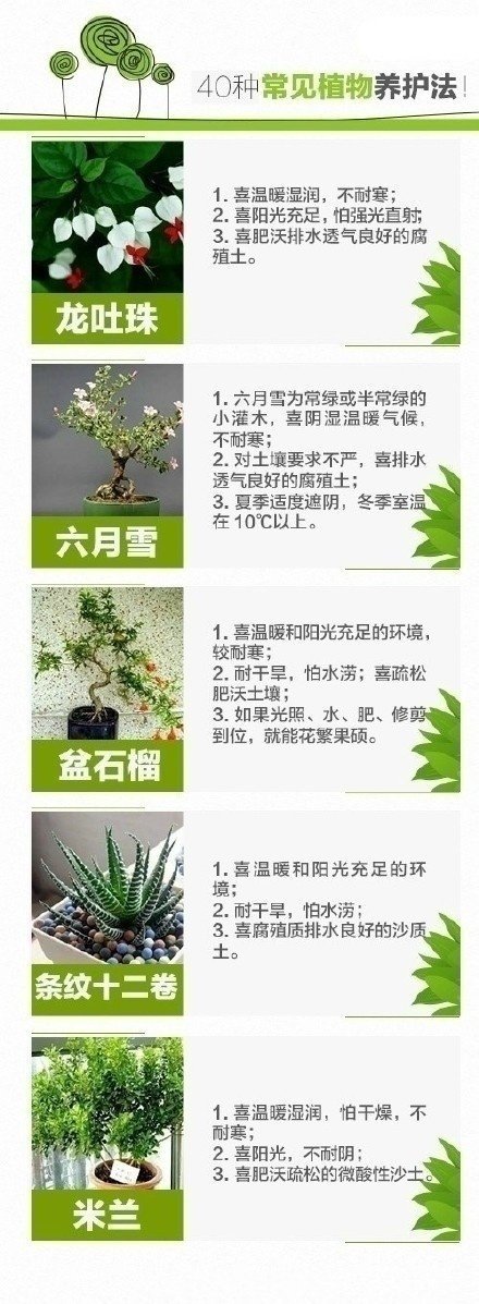 万用表与观赏植物保鲜剂的基本功能