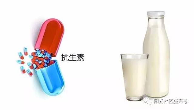 奶类与抗生素换着用好吗