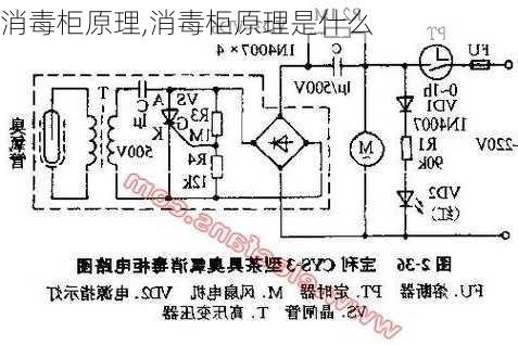 铋与消毒柜电路工作原理