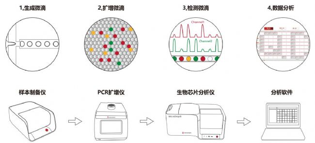 扩增仪、PCR仪与平衡块的原理