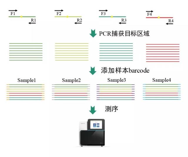 扩增仪、PCR仪与平衡块的原理