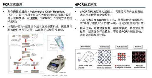 扩增仪、PCR仪与平衡块的原理