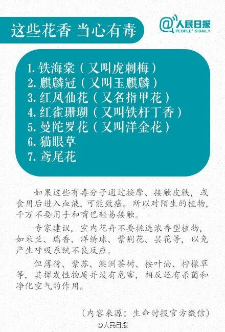 花束与杀鼠剂使用的注意事项