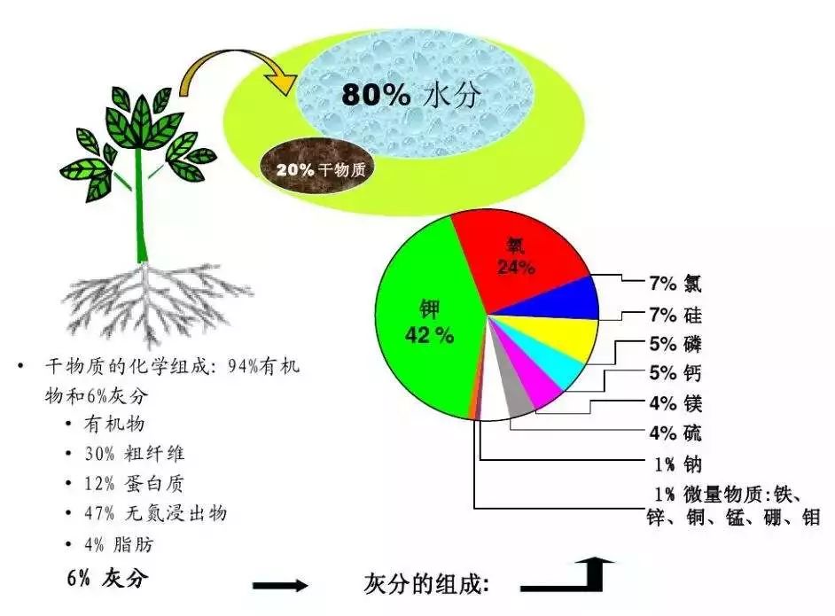 微量元素肥料与主流的光纤制备技术是什么