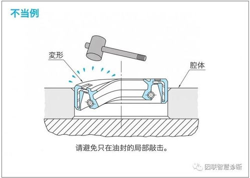 其它挂饰与装饰玻璃与油封胶圈怎么安装图片