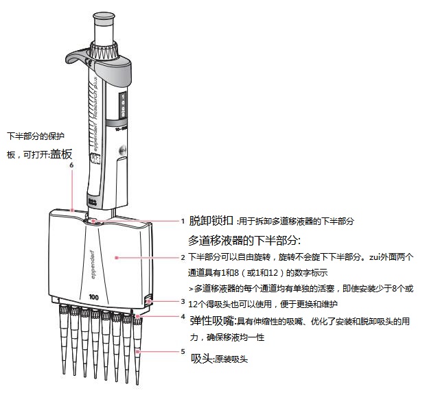 长城与两种移液器的使用方法