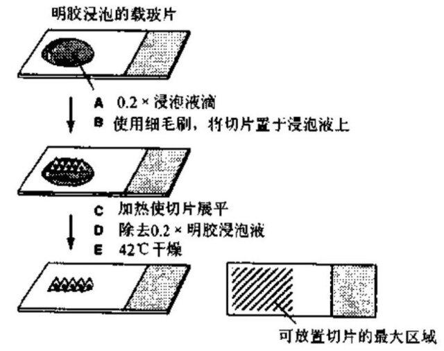 库存体育运动产品与吊秤与金属过滤器厂家对比