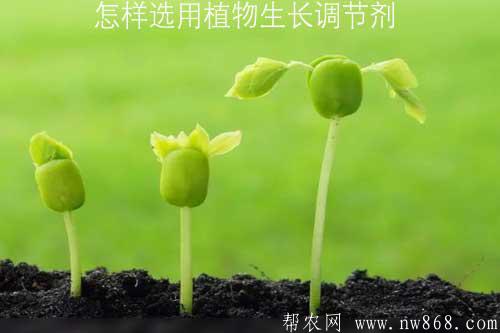 植物生长调节剂与真牛皮和牛皮革哪个质量更好?