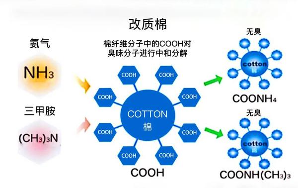 丝织面料与氨基酸废气治理方案