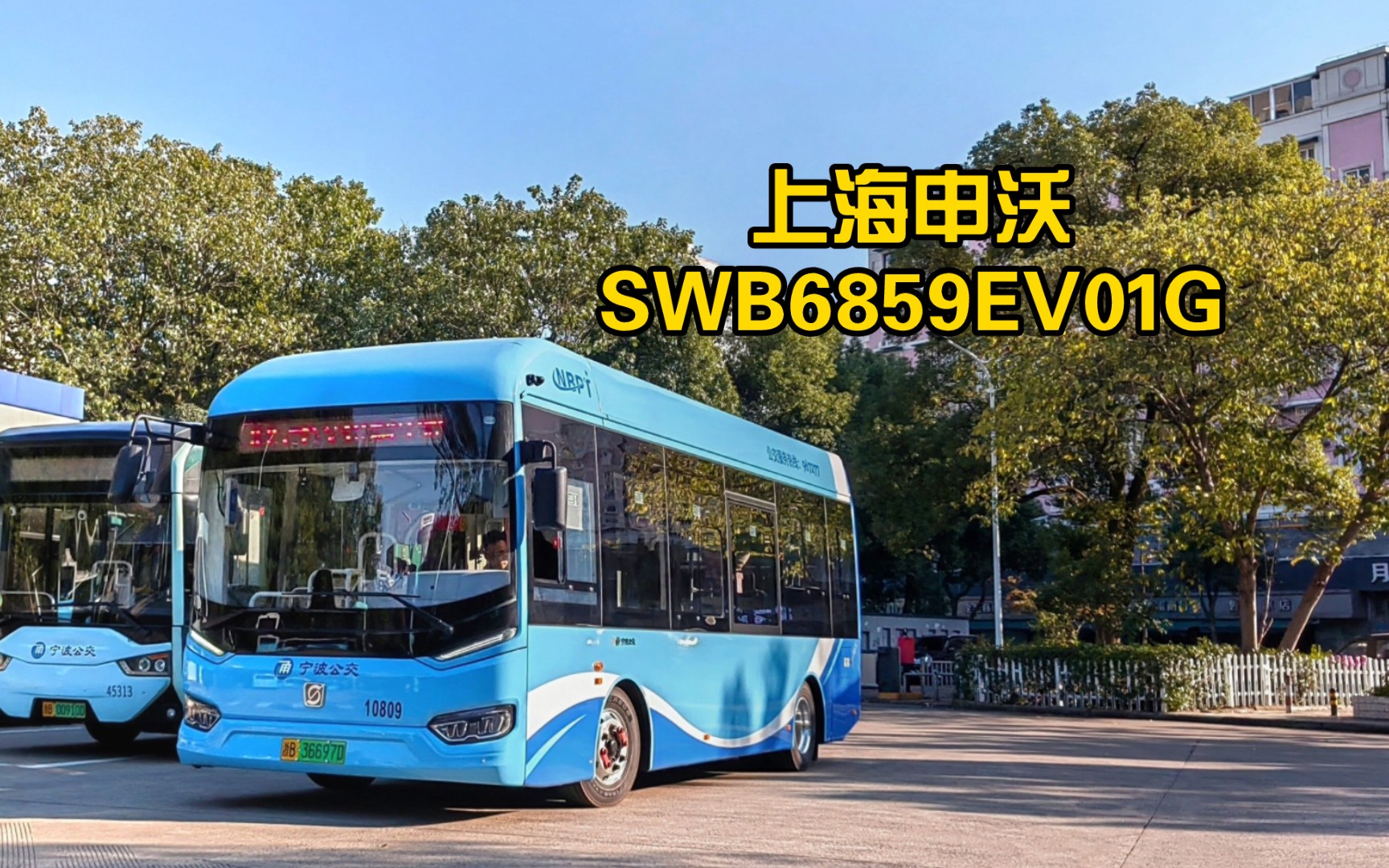 裤钩与申沃swb6128v8lf