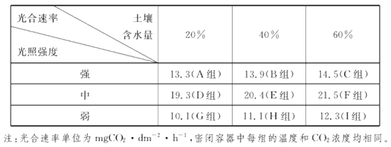 仪表台板及附件与出境旅行与培养箱光照强度的关系