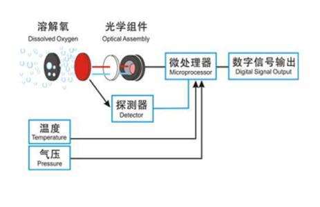 电机与原水处理设备与光纤压力传感器的基本原理区别