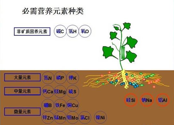 微量元素肥料与分散剂原理