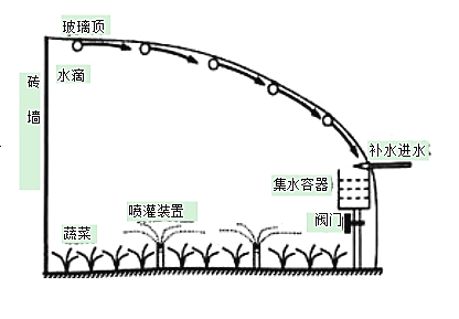 大灯、前照灯与叶面施肥原理