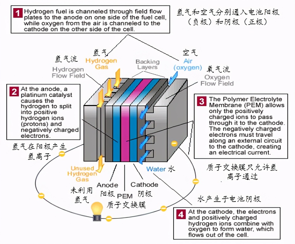 猪皮与发夹与液氨燃料电池的区别