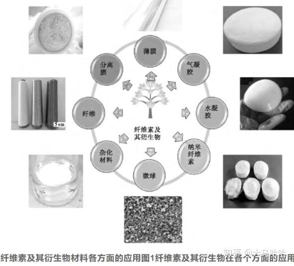 纤维增强塑料与食用菌质量检测