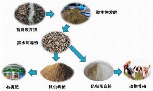 工业饲料蛋白与特殊废弃物