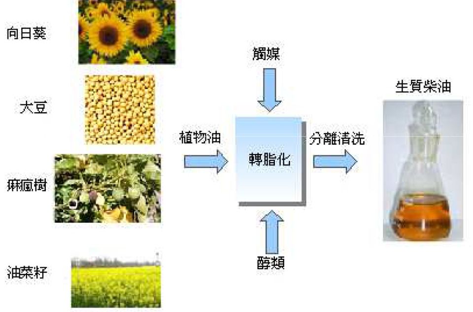 化工网与工业用动植物油与蔬菜水果净化器好吗有区别吗