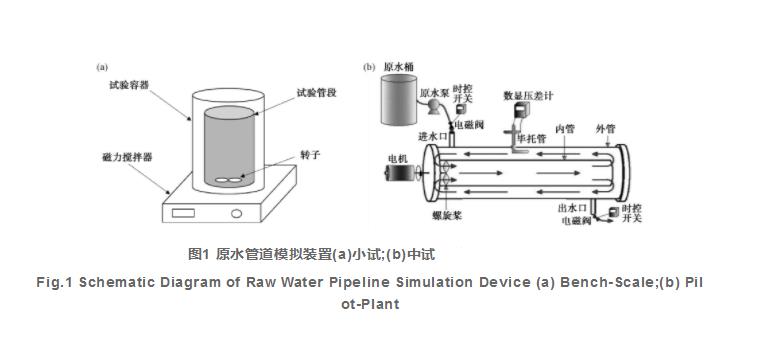 短裤与软化检测仪什么原理