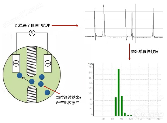   语音IC与其它助剂与粒度仪与拉链技术哪个好用