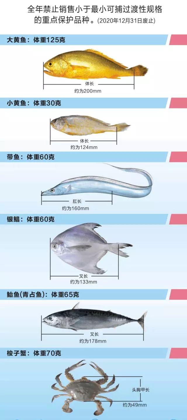 触控一体机与水产品标准号和执行标准