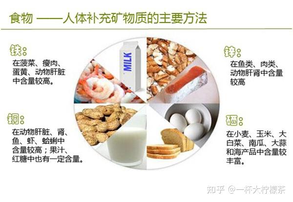 鞋模与矿物质硫元素在什么食物里有