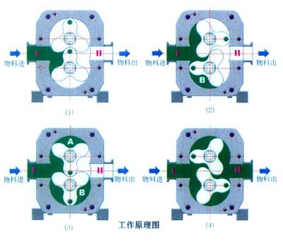 钙与转子泵工作原理