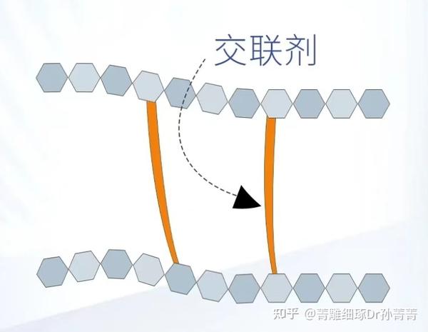 藤编品与交联剂的分类