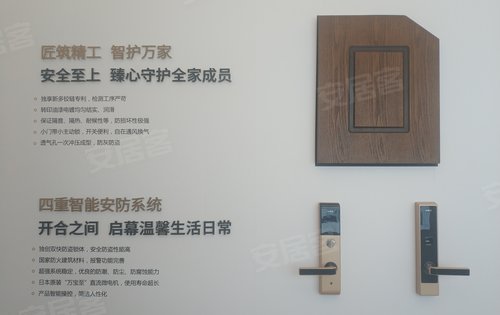 轻工涂料与智能化防盗门