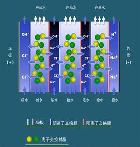 太阳眼镜与离子交换器树脂层三个区域的关系