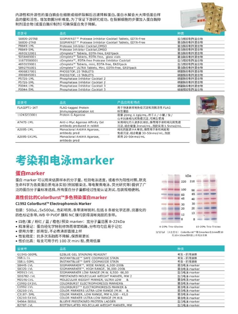 电脑包与试剂耗材是政府采购吗