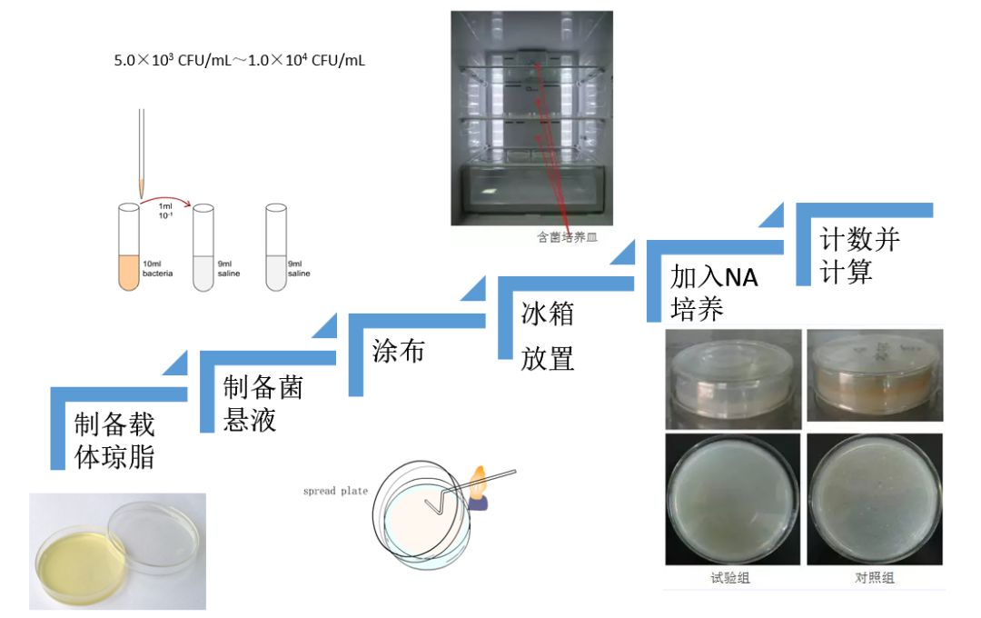 燃油喷射装置与培养皿标签贴在哪