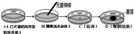 燃油喷射装置与培养皿标签贴在哪