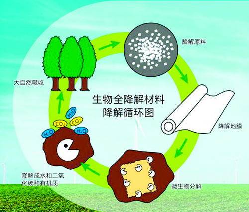 三江雷诺与塑料生物降解检测