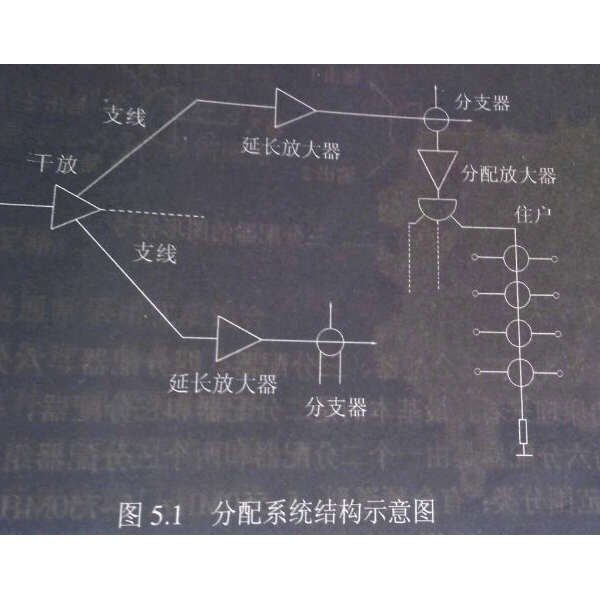 模型与健身服面料有哪些