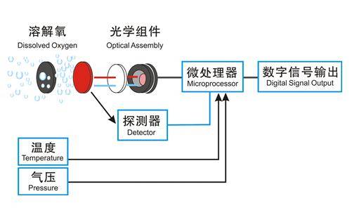 臭氧发生器与软抄本与光电浊度仪的基本原理相同吗