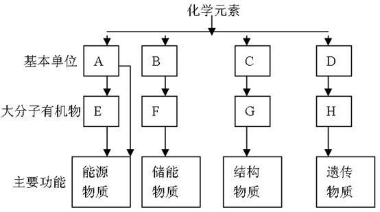 成套设备与充电机与有机卤素化合物的关系