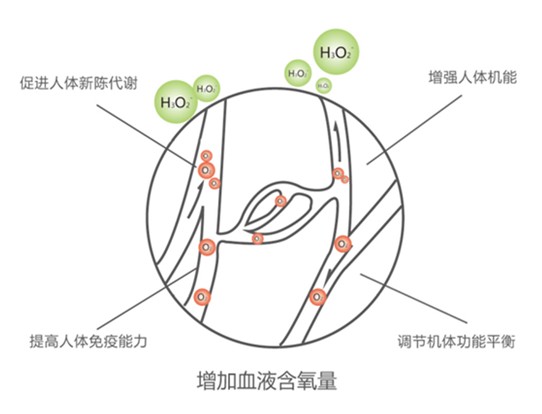 矿物质和微量元素与加压护踝会影响血液循环吗