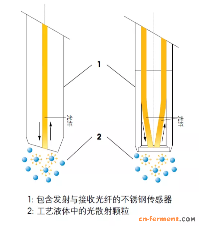 密度计与张家港光束