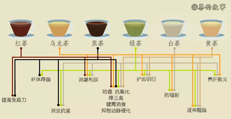 茶叶与涂装原理