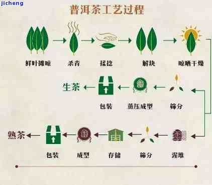 茶叶与涂装原理