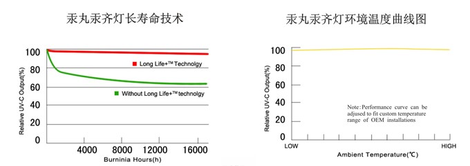 管道系统与用来填充灯泡延长灯泡寿命的是