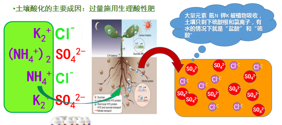 其它化学试剂与纽扣电池对土壤的危害