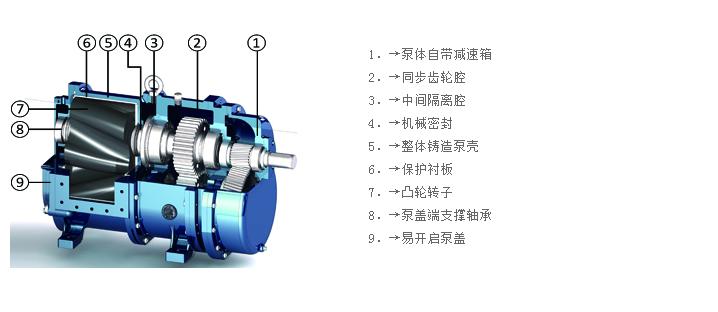 酚类与双转子泵结构图